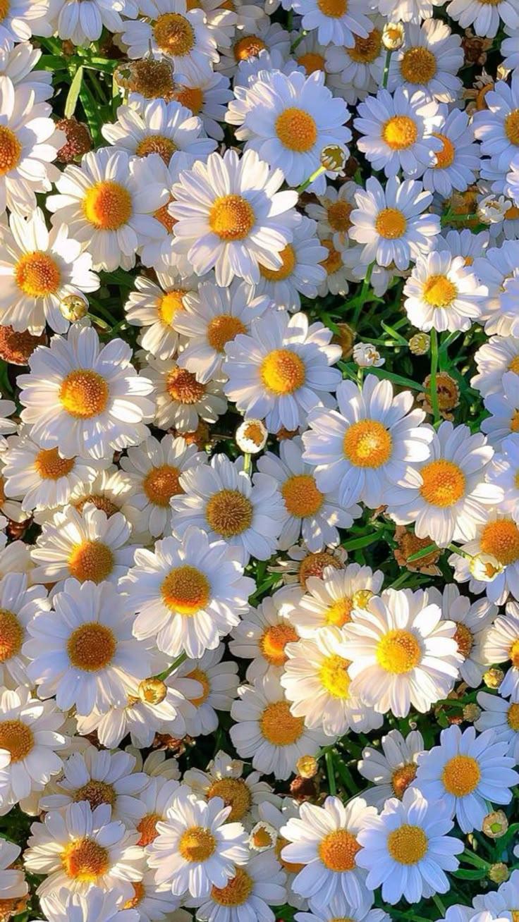 Whispering Meadow Floral Embrace